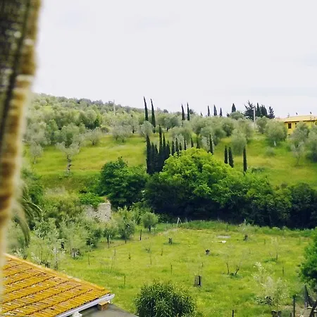 Apartment Borgo
